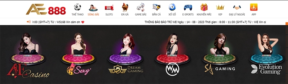 Live Casino AE888 với dealer thật đang chia bài trực tiếp tại studio chuyên nghiệp